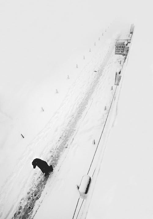 Free stock photo of istanbul, snow, snowy road Stock Photo