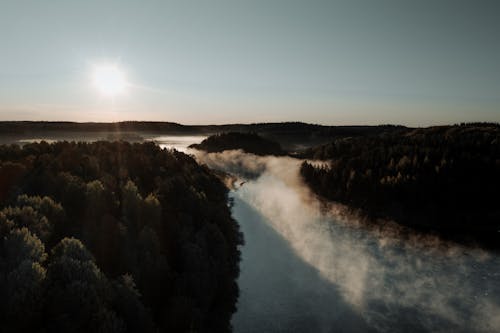 Gratis stockfoto met antenne, bomen, boomluifels