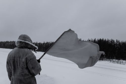 Free A lone protester holding a flag in a snowy Russian landscape, set in a winter forest scene. Stock Photo