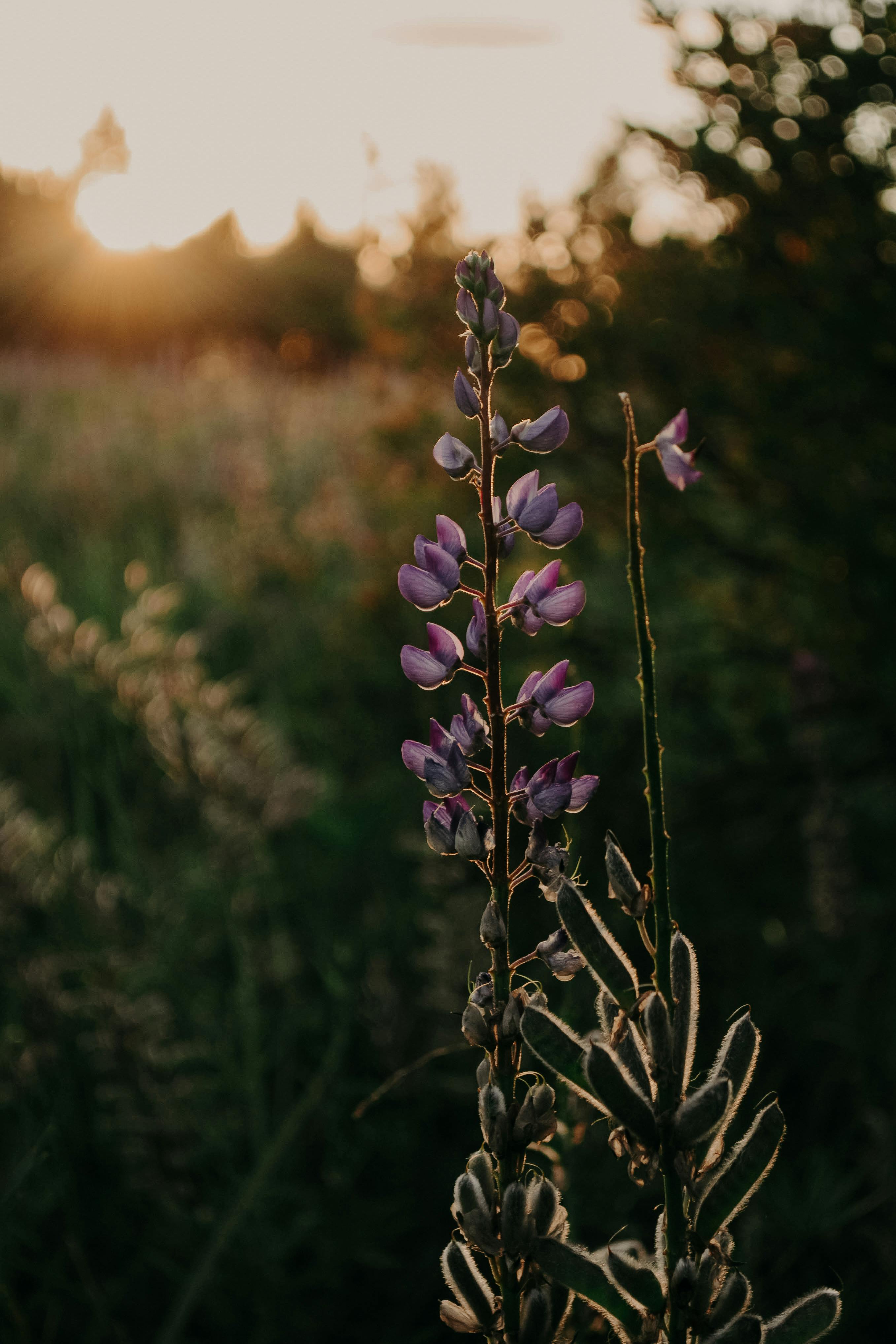 Was the Paralytic a Christian Riser? Discover the Inspiring Truth Behind the Miracle Was the Paralytic a Christian Riser? Discover the Inspiring Truth Behind the Miracle