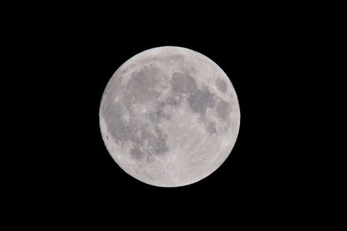 無料 満月の写真 写真素材
