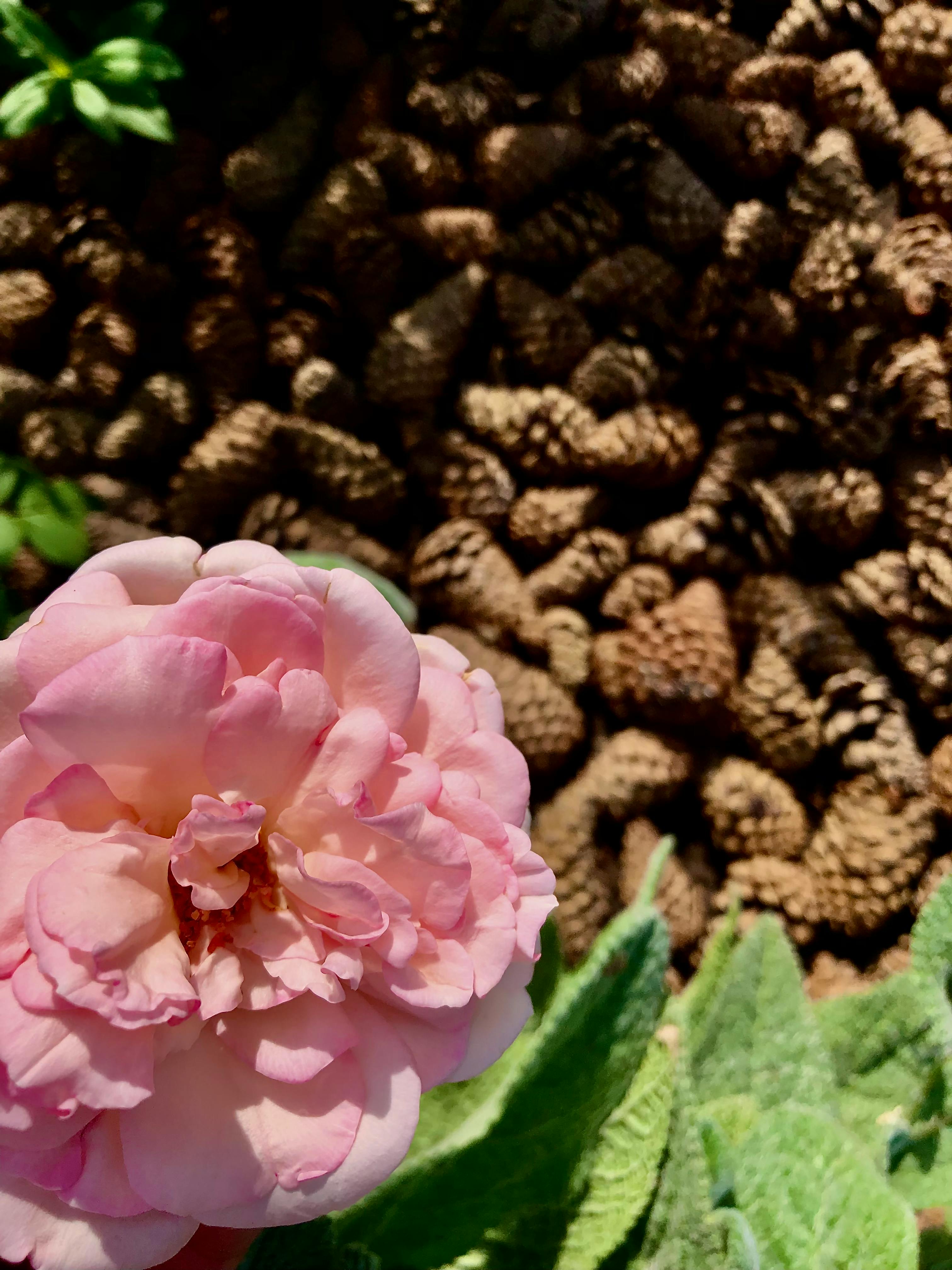 Kỹ thuật viên xử lý thiết bị