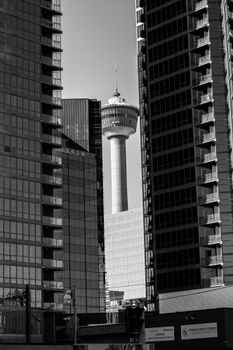Black and white photo of Calgary Tower amidst tall buildings in downtown Calgary.