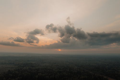 Aerial View of a Forest Land at Sunset 