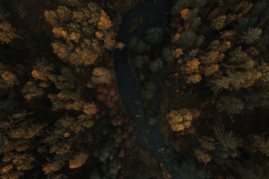 Aerial shot of a serene river winding through an autumn forest with vibrant foliage.