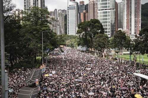 人群, 團結, 抗議 的 免費圖庫相片