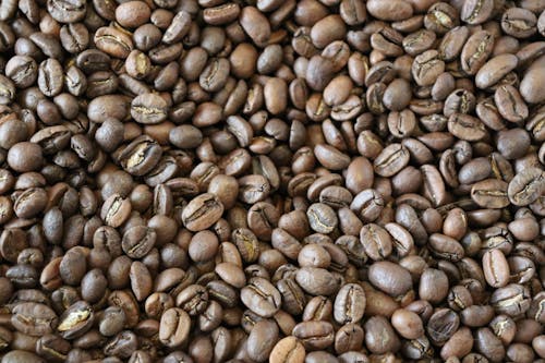 Free stock photo of coffe beans, having coffee, roasted coffee beans Stock Photo