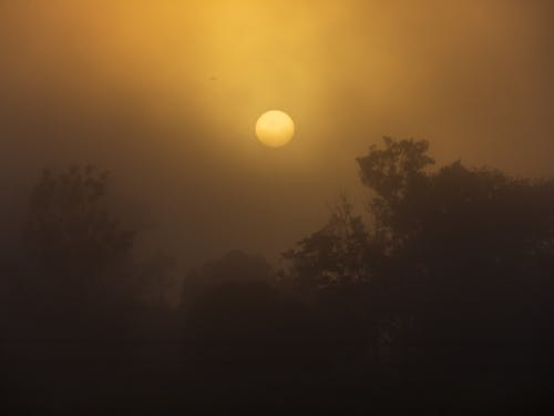 Gratis stockfoto met mistige zonsopgang, vroege zonsopgang