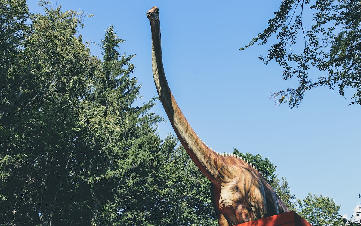 無料 茶色の恐竜 写真素材