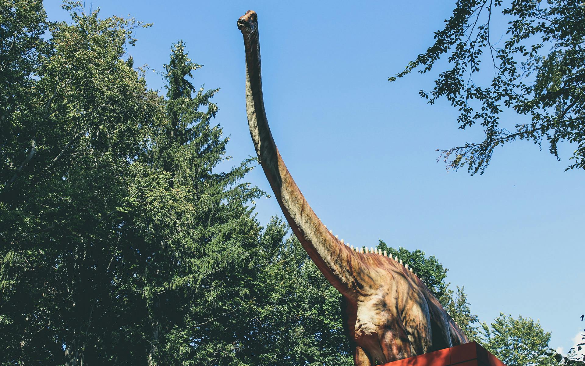 2+ Hundred Chrome Dinosaur Royalty-Free Images, Stock Photos & Pictures