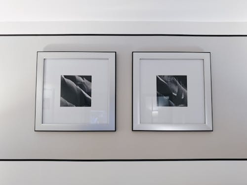 Deux Peintures De Fleurs Grises Et Noires Sur Le Mur à L'intérieur De La Chambre