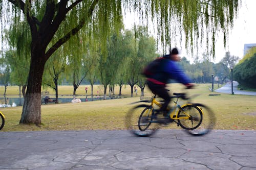 Foto stok gratis berbagi, biker, Universitas