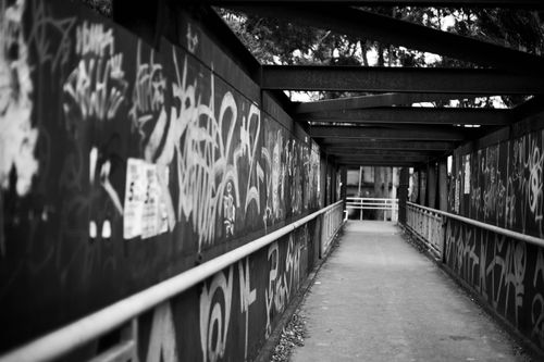 Free A black and white image depicting a graffiti-covered tunnel with urban street art. Stock Photo