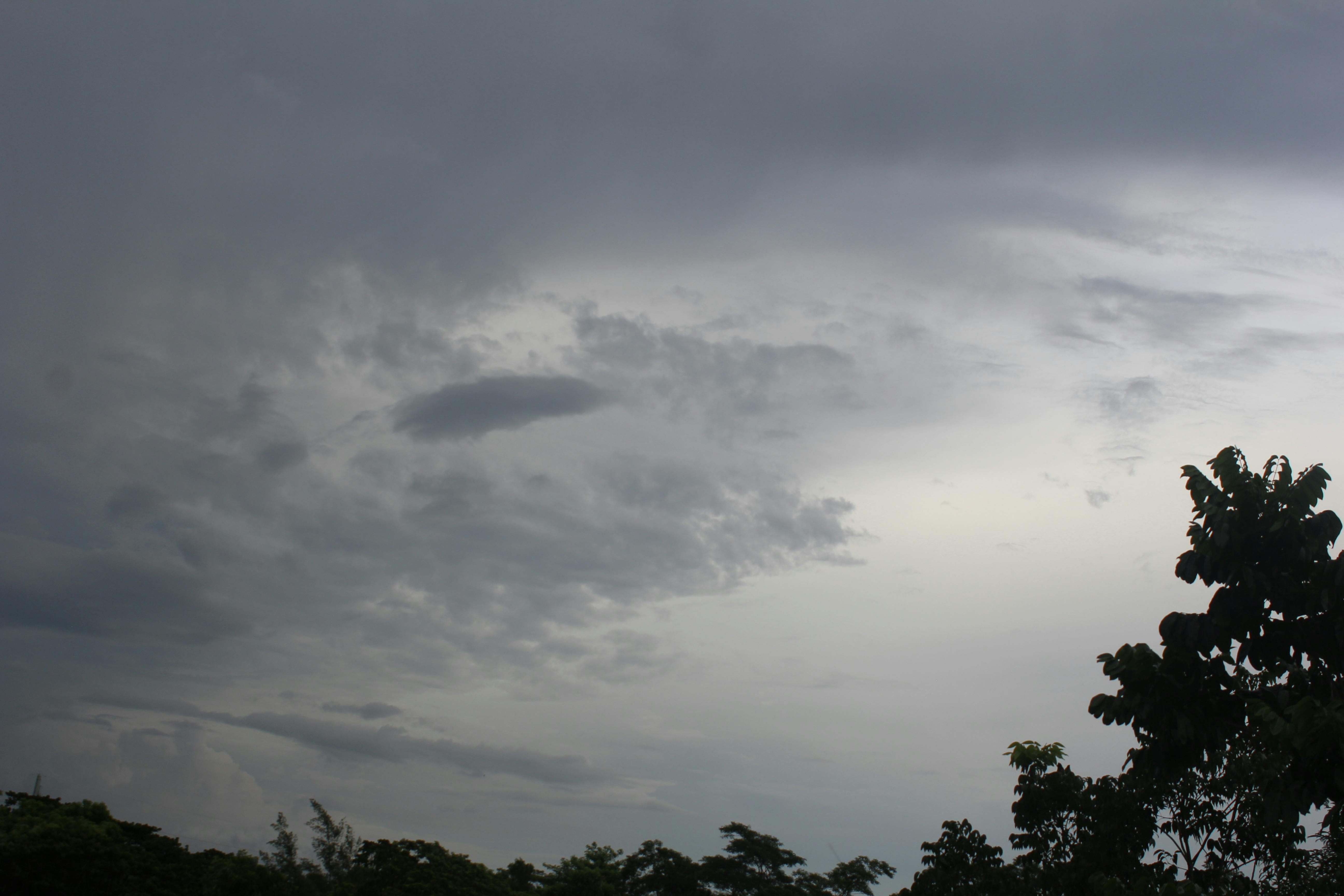 A vibrant, fantastical jungle landscape reminiscent of the world of Pandora.