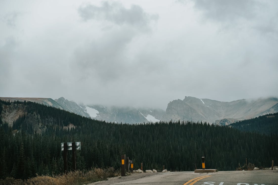 Green Pine Trees Near Mountain Under White Clouds