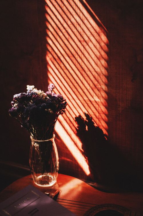 Free Glass vase with flowers casting dramatic shadows from sunlight through blinds. Stock Photo