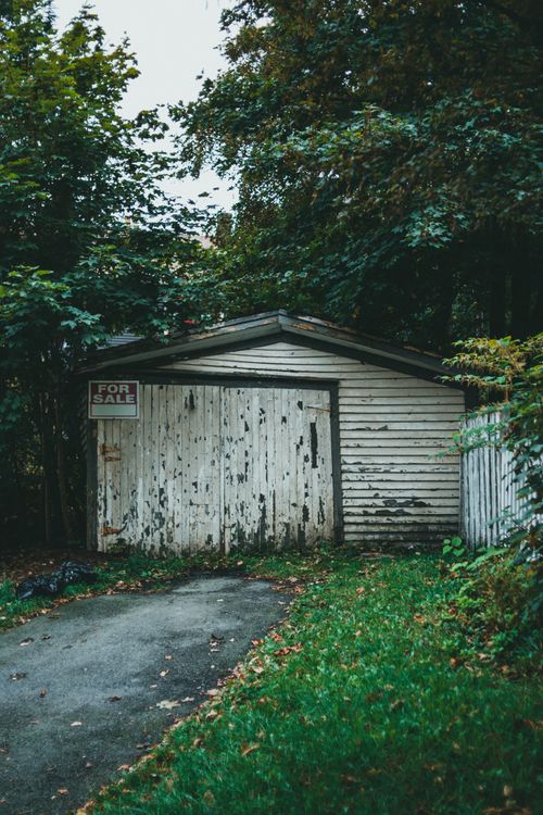 Free Old wooden garage with 'For Sale' sign surrounded by overgrown greenery. Stock Photo