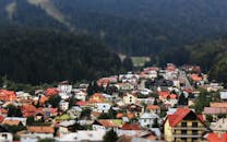 在郁郁葱葱的绿色山谷中，坐落着一个充满活力的村庄，四周环绕着茂密的森林