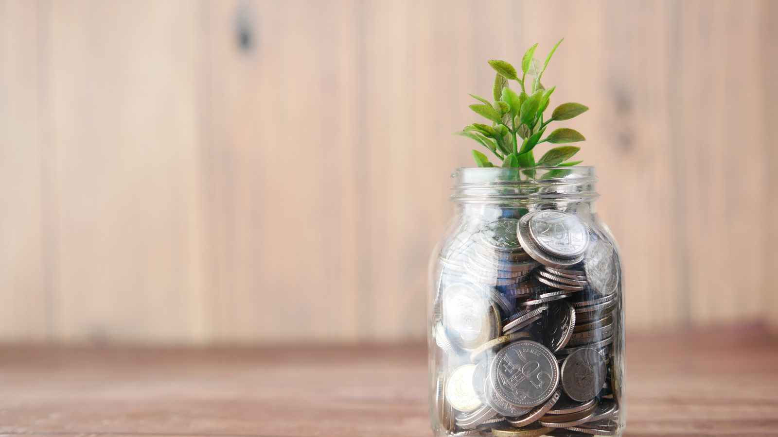 Life Insurance Bonus in Nepal: A Complete Beginner’s Guide