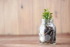 A jar of coins with a seedling — photo by Towfiqu barbhuiya on Pexels