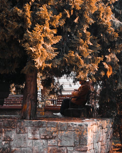 Person In Beige Jacke, Die Auf Bank Im Freien Nahe Baum Sitzt