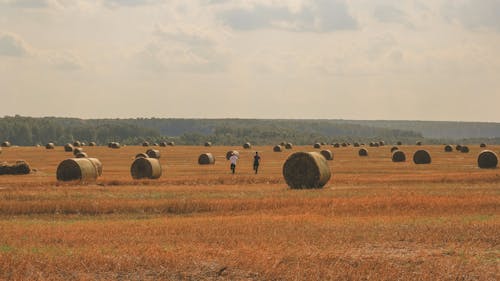 Free stock photo of hay, hay roll, jogging Stock Photo