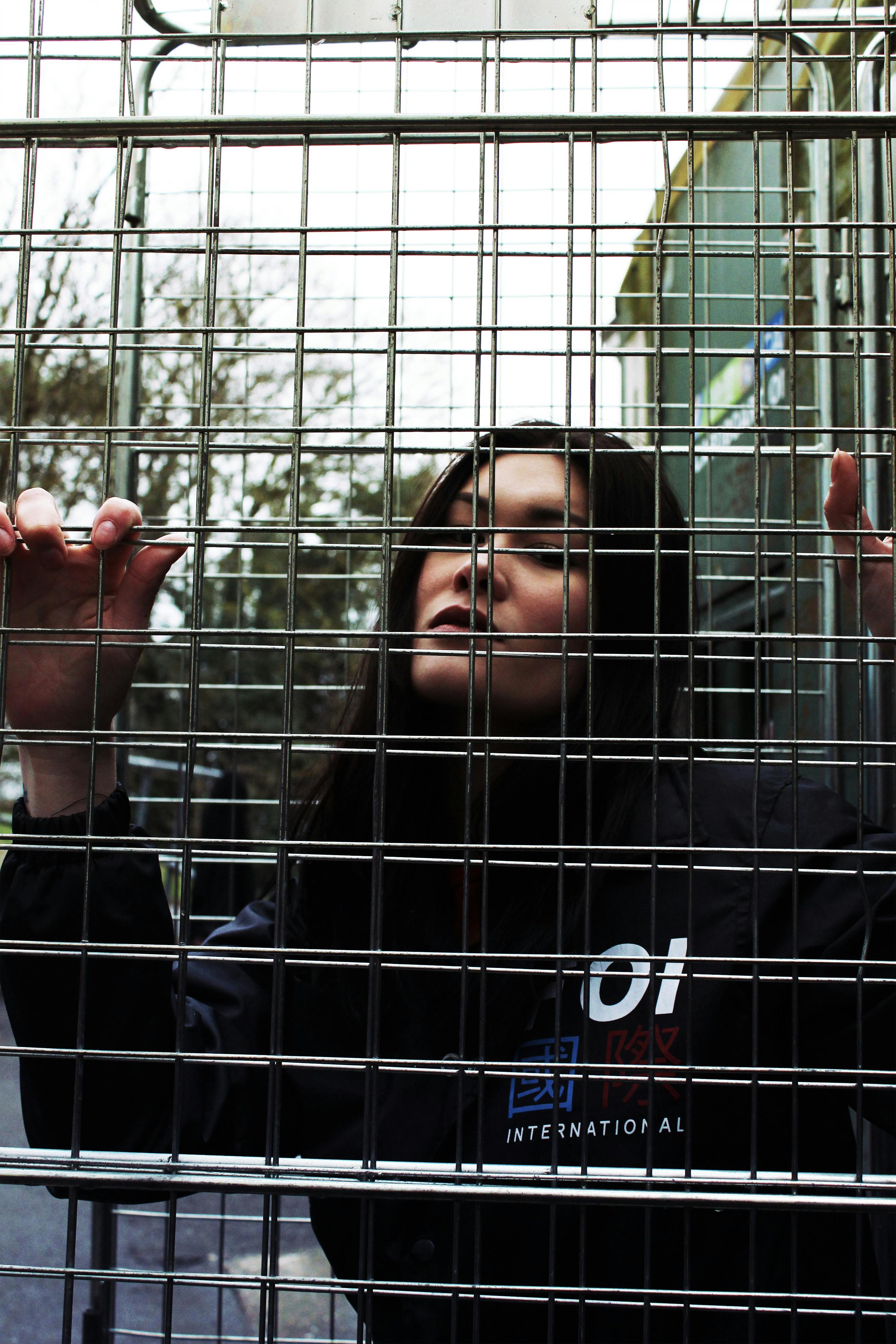 Free stock photo of female, fence, girl