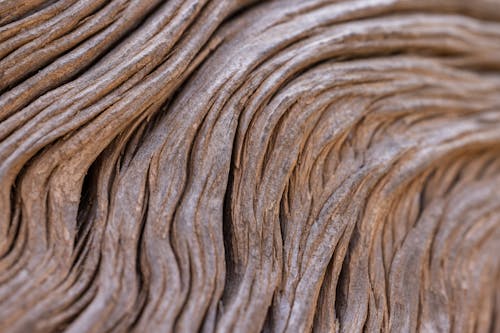Close-up of a Wooden Surface