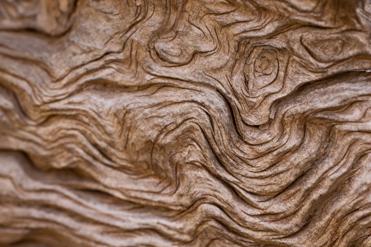 detailed close up of natural wood texture showcasing intricate grain p