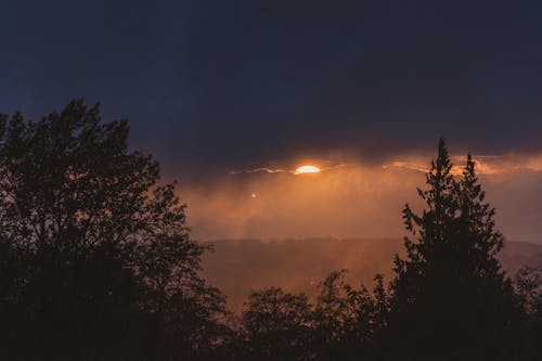 Ingyenes stockfotó alkonyat, fák, festői témában