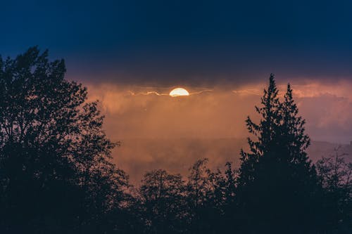 Gratis stockfoto met bewolkt, bomen, buiten