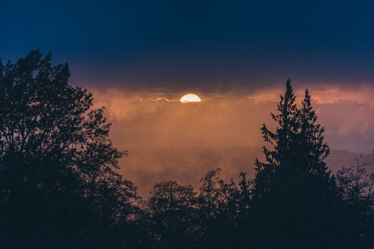 Captivating sunset with silhouetted trees against a vibrant sky, perfect for nature enthusiasts.