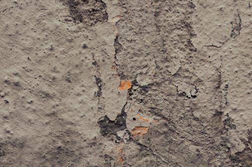 beton, çatlak, çimento içeren Ücretsiz stok fotoğraf