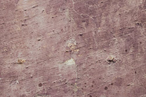 A Close-Up Shot of a Concrete Wall