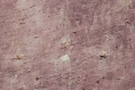 A Close-Up Shot of a Concrete Wall