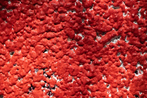 Close-up Photo of Red Textured Surface 
