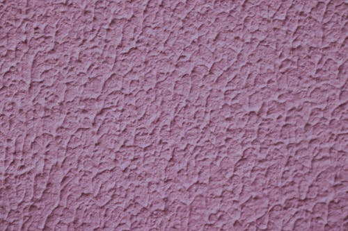 Pink Wall in Close Up Photography