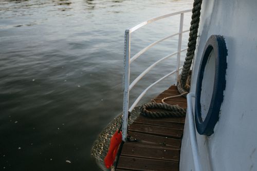 Free A peaceful view from a boat deck with railings and calm ocean waves. Stock Photo
