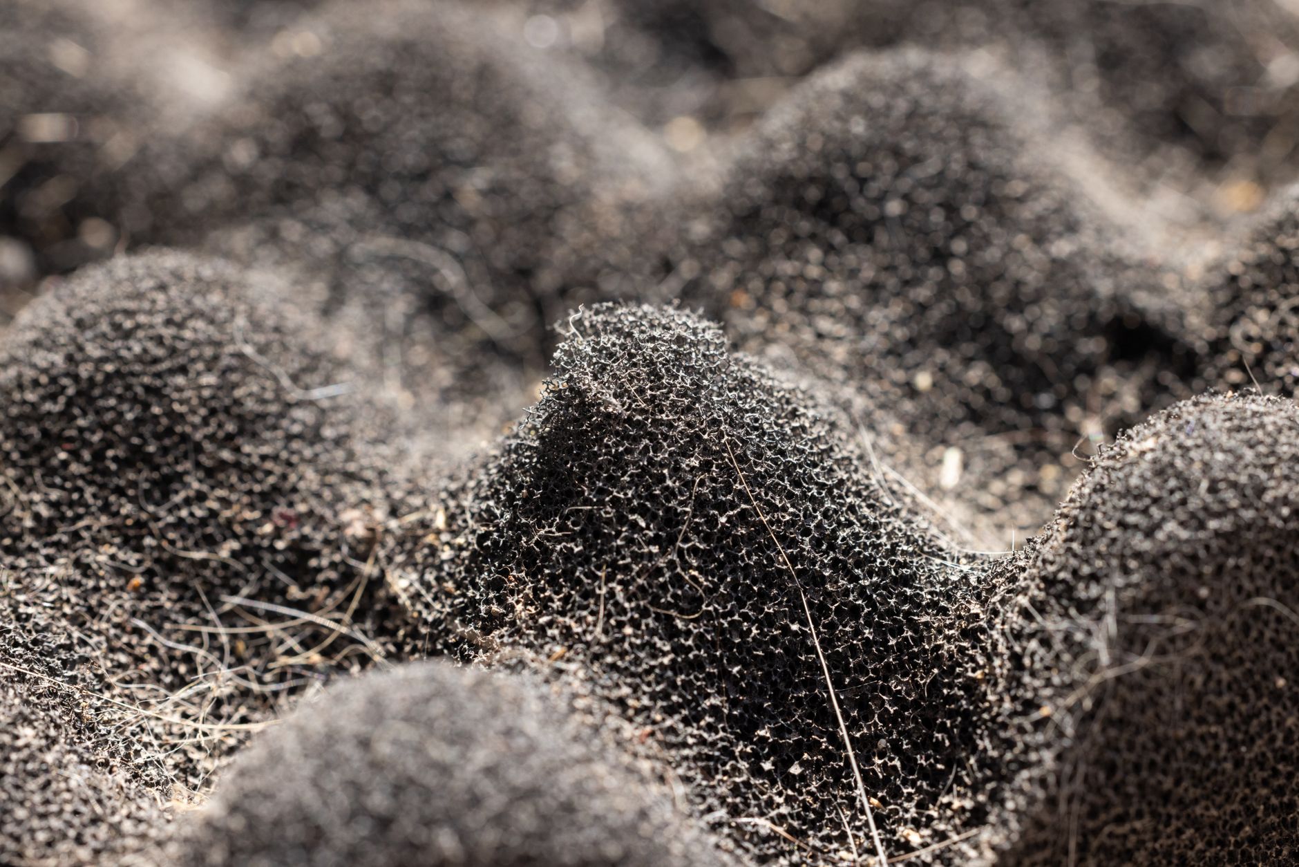 High-Porosity Electrochemical Nickel Foam Market Set for Rapid Growth