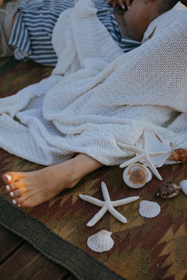 Sea Shells On The Brown Rug