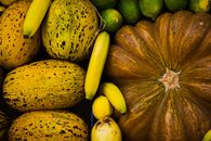 Free stock photo of abundance, autumn, background