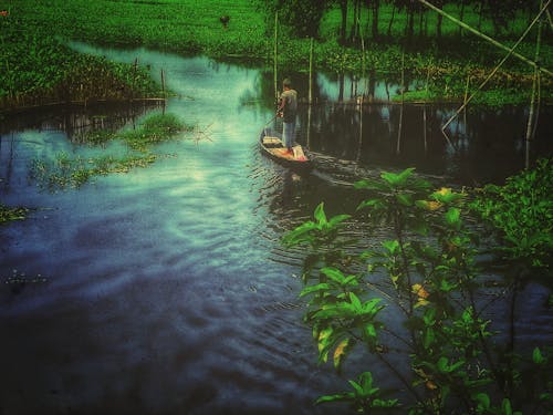 Free 강, 나무, 남자의 무료 스톡 사진 Stock Photo