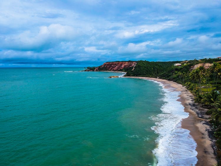 Aerial Photo Of Beach