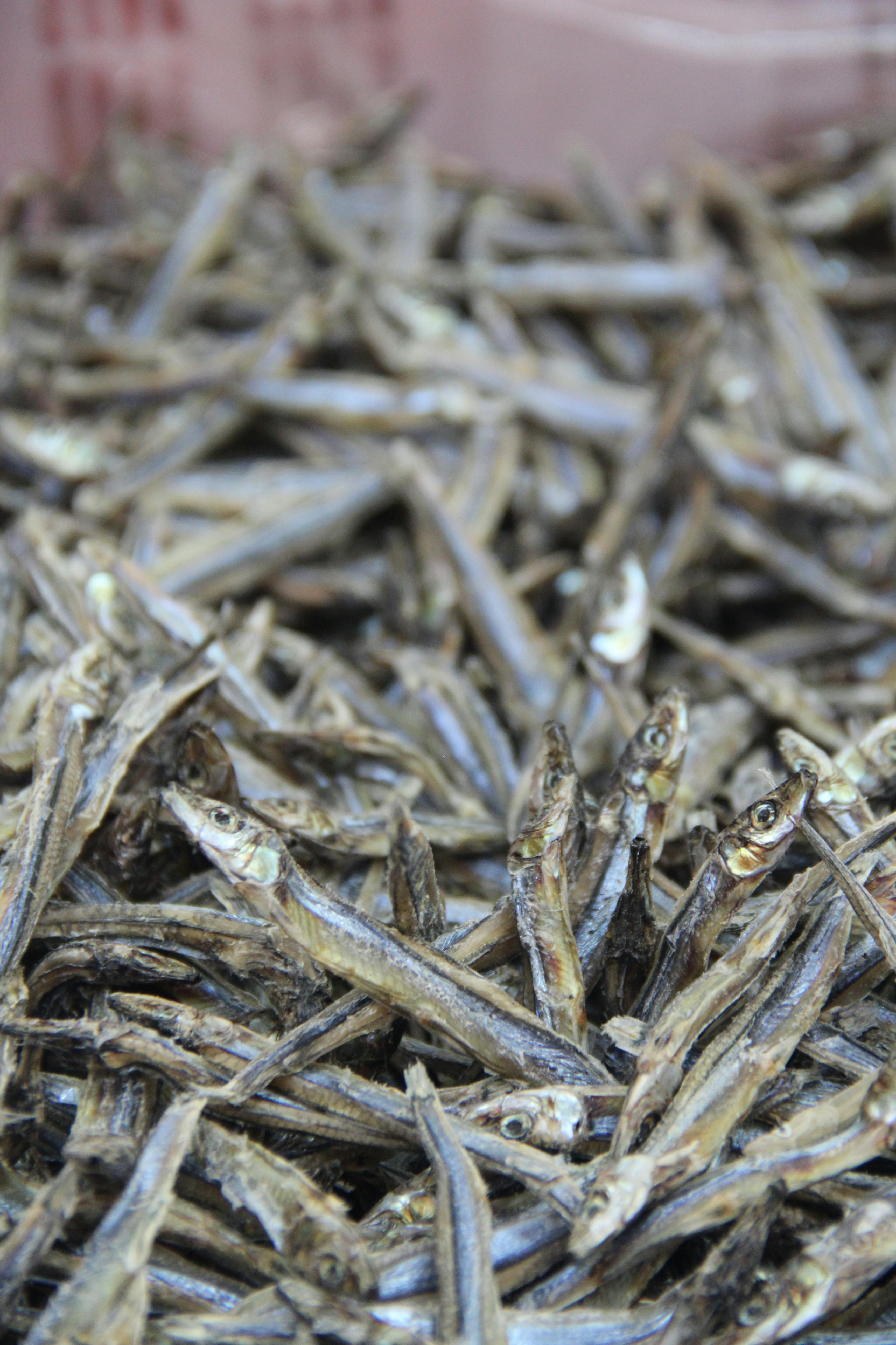 Free stock photo of anchovies, dried anchovies, fish market