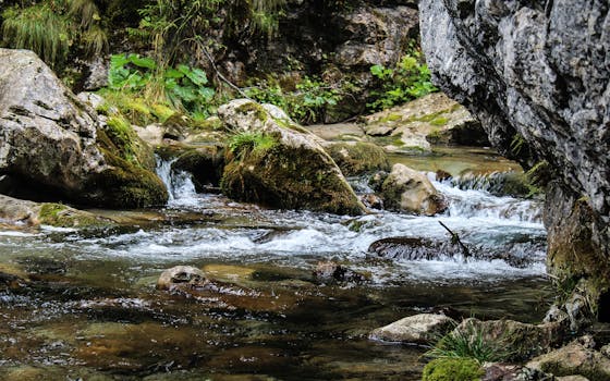 A serene mountain stream flowing over moss-covered rocks in a lush green forest setting.