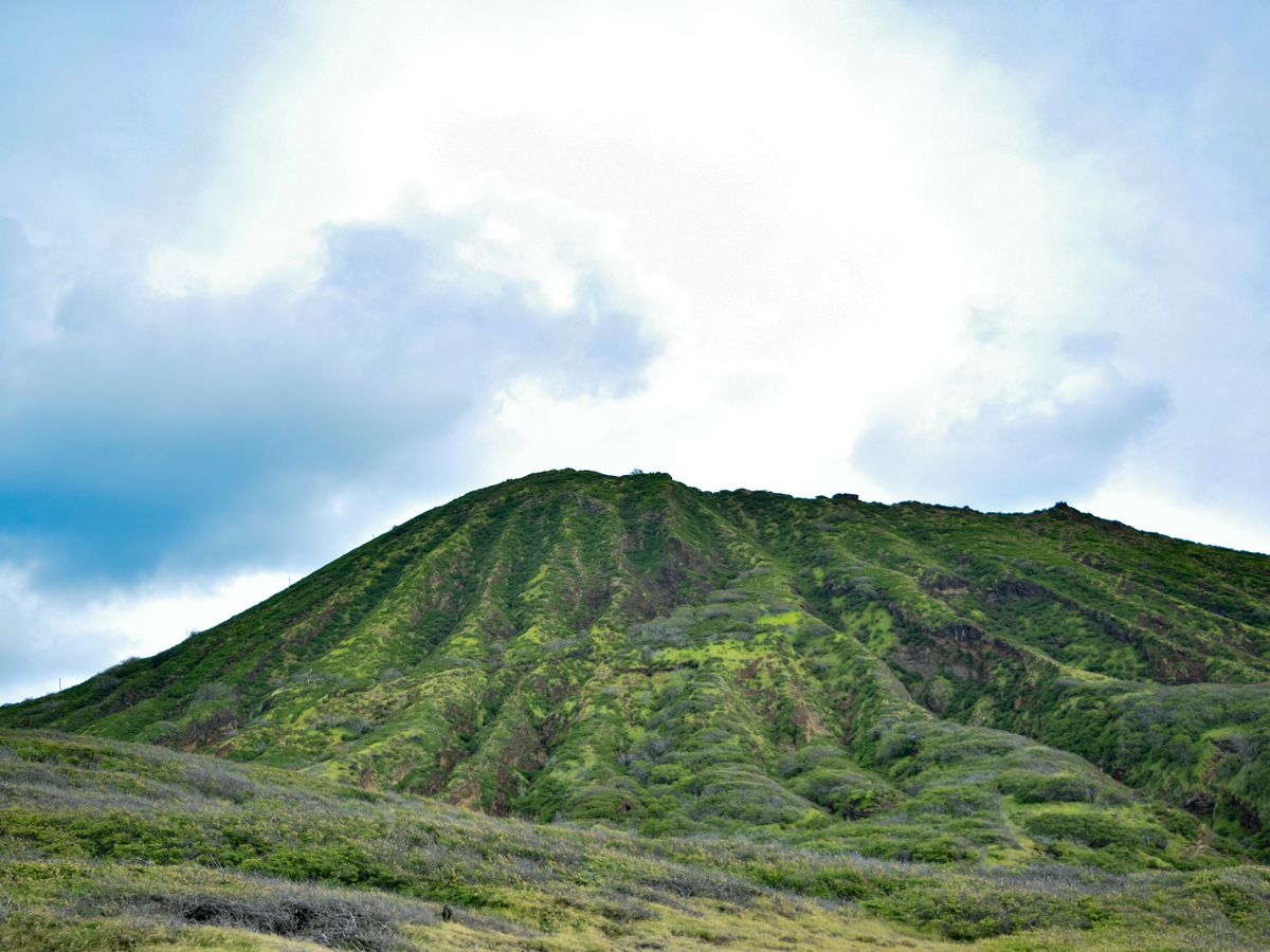 7 Day Nervous System Restoration Retreat in Oahu Hawaii, USA 3