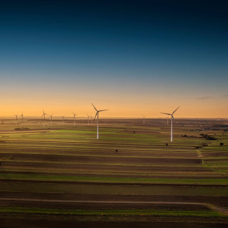 The Future of Renewable Energy