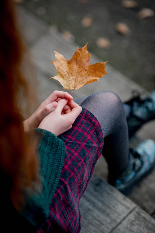 A Person in Black Stockings Holding a Dried Maple Leaf