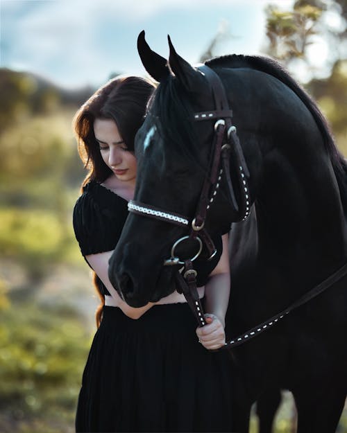 Foto profissional grátis de animal, cavalo preto, de pé