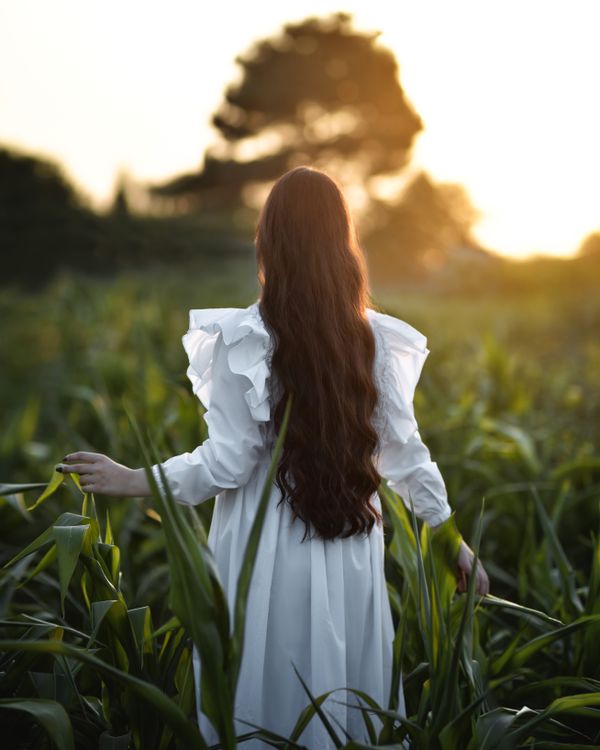 Back View of a Woman in White Dress Free Stock Photo Back View of a Woman in White Dress Free Stock Photo